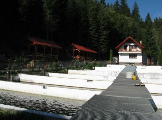 Hotel Paltinis - Photo4