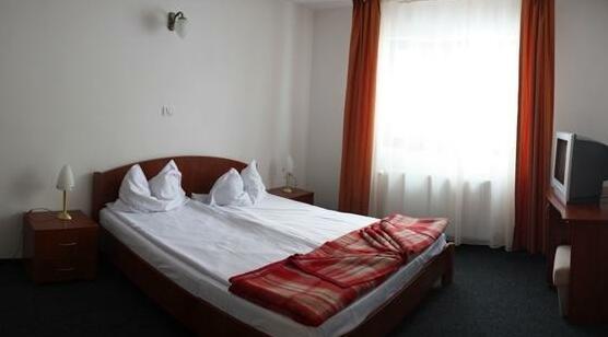 Hotel Paltinis - Photo5