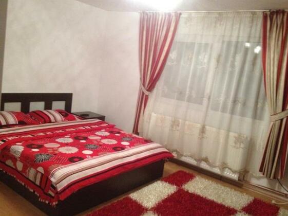 Pensiunea Alex Bors - Photo4