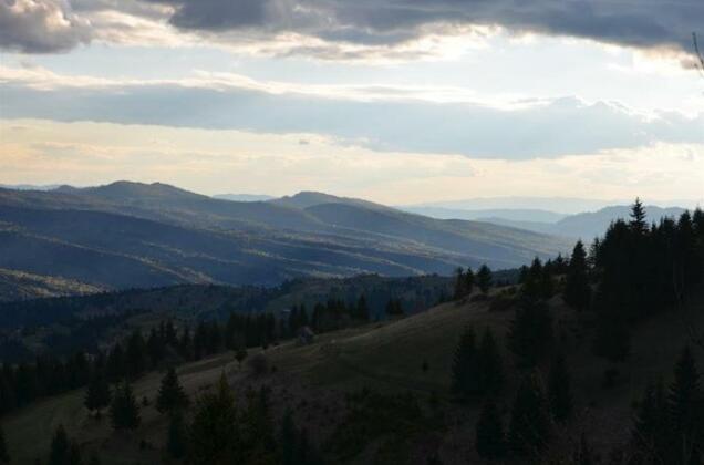 Pietrosu B&B - Photo4