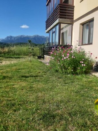 Apartament Alex Bran - Photo5