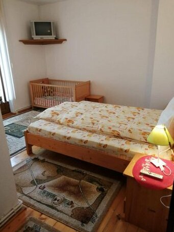 Casa cu Pauni - Photo3