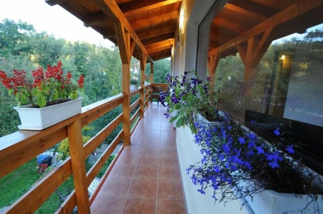 Casa Georgeta Bran - Photo3