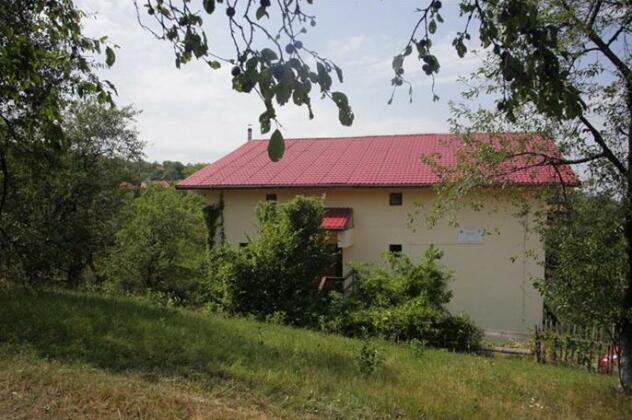 Pension Poiana Verde - Photo5