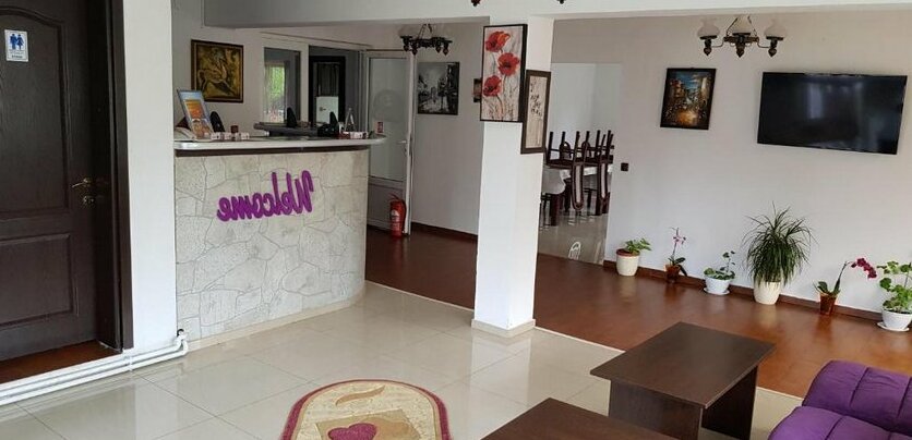 Pensiunea Casa Beatrice Bran - Photo2