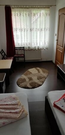 Pensiunea Casa Beatrice Bran - Photo4