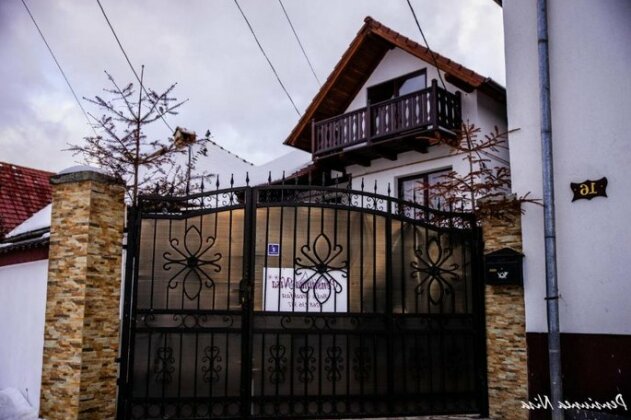 Pensiunea Nisa - Photo3