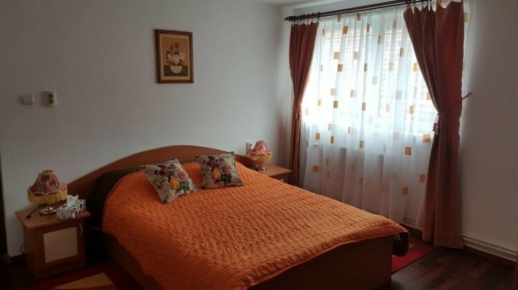 Pensiunea Tina Bran - Photo5
