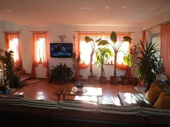 Pensiunea Transilvania Lodge - Photo2