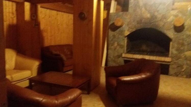 Pensiunea Transilvania Lodge - Photo3