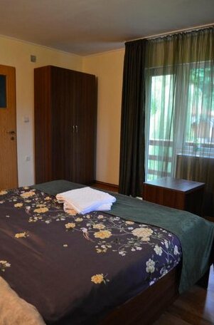 Vila Iulia Bran - Photo5