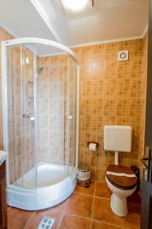 Villa Siana Bran - Photo4
