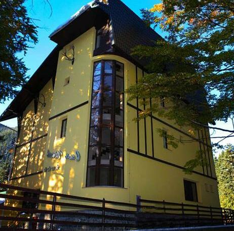 Aparthotel Casa Viorel - Photo2
