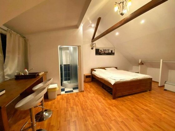 Arina's apartments - Photo4