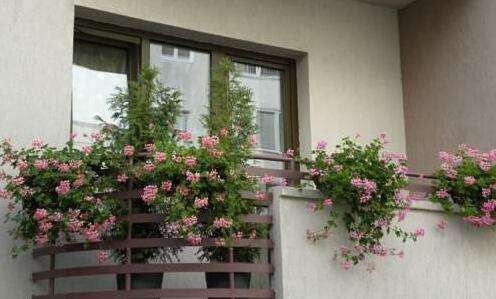 Hotel Gema Brasov - Photo2