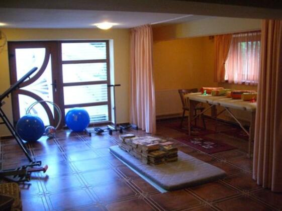 Pension Arcadia Brasov - Photo4