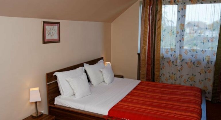 Pension Stejeris - Photo5