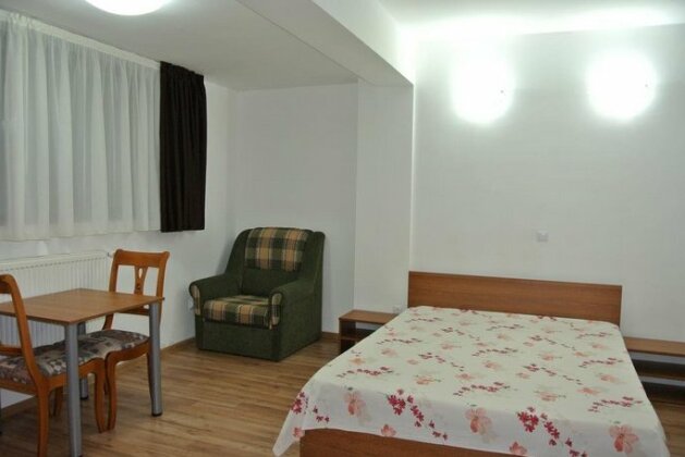 Vila Sorina - Photo2