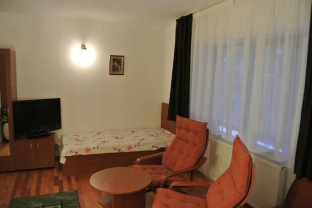 Vila Sorina - Photo4