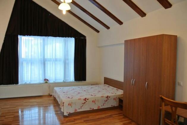 Vila Sorina - Photo5
