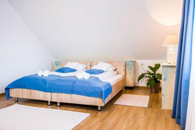 Villa V Brasov - Photo4