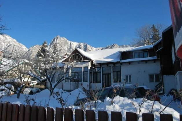 Casa Maria Busteni - Poiana Tapului - Photo5