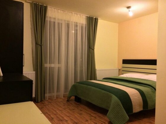 Casa Ramino Busteni - Photo2