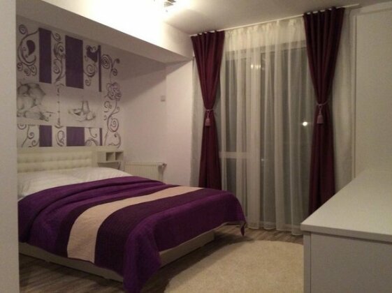 Casa Ramino Busteni - Photo3