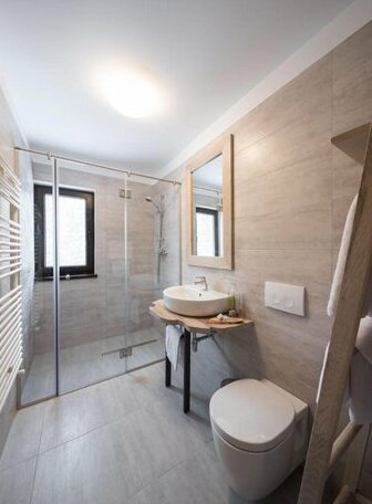 Chalet Alpina Busteni - Photo2