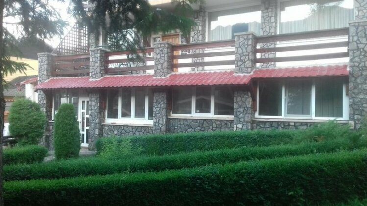 Vila Alexandra Busteni - Photo2