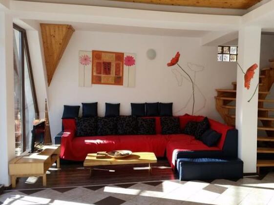 Vila Florilor Busteni - Photo2