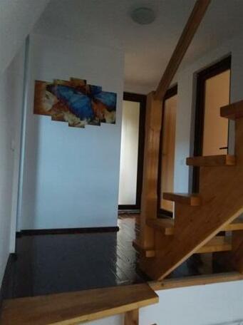 Vila Florilor Busteni - Photo4