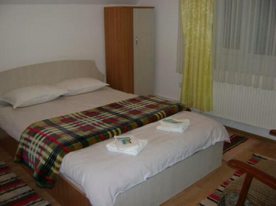 Pensiunea Rustica - Photo5