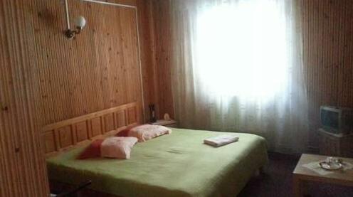 Pensiunea Nicos - Photo2