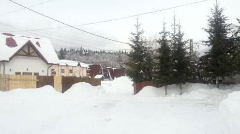 Pensiunea Nicos - Photo4