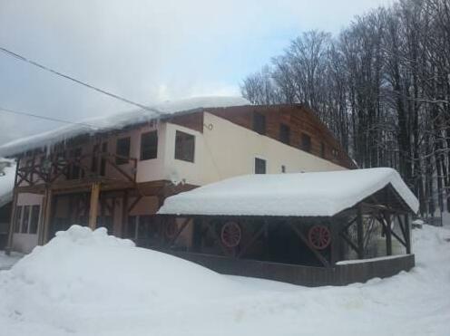 Pensiunea Nicos - Photo5