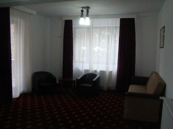Conacul de pe deal - Photo4