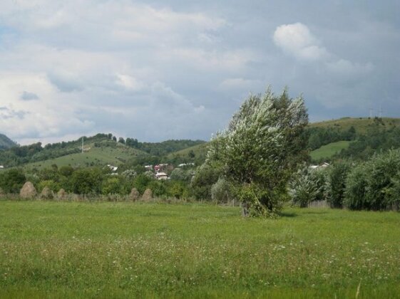 Pension Valea Mare - Photo3