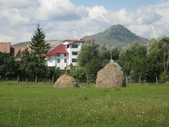 Pension Valea Mare - Photo4