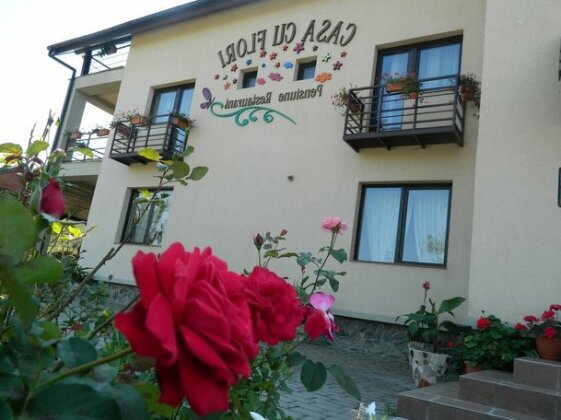 Pensiunea Casa cu Flori Sibiu - Photo2