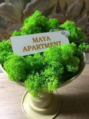 Maya Apartment
