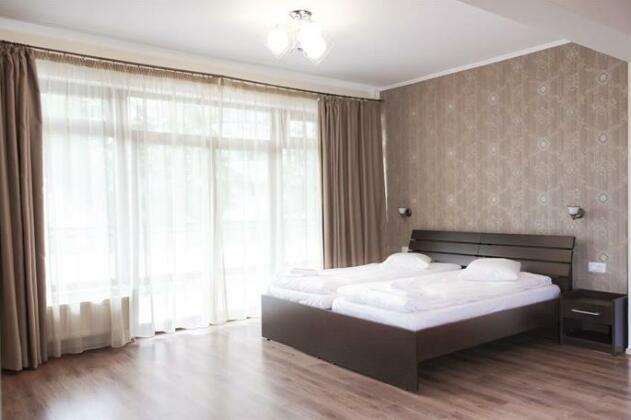 Vila Rao Hotel Cluj-Napoca - Photo4