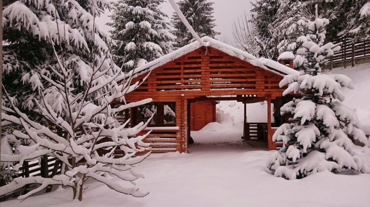 Cabana Colibita - Photo2