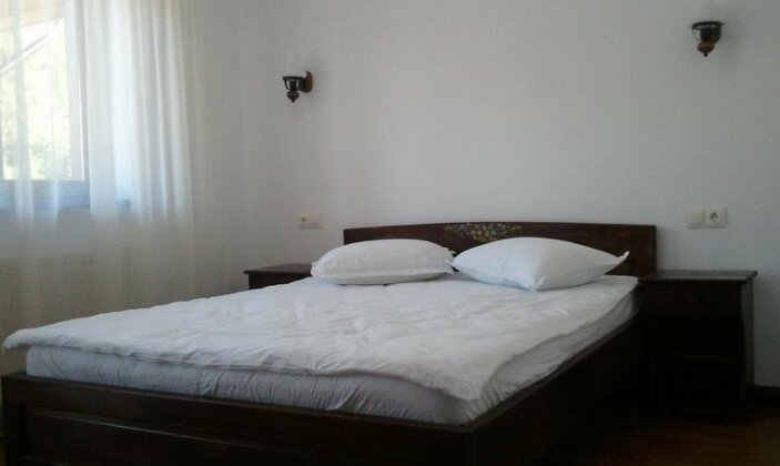 Pensiunea Ily - Photo2