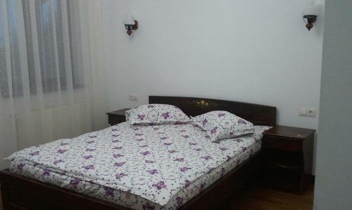 Pensiunea Ily - Photo3