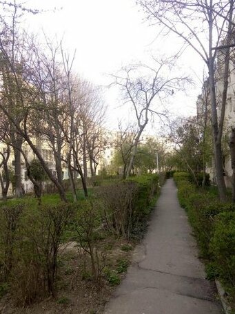 Apartament Julian Mamaia - Photo2