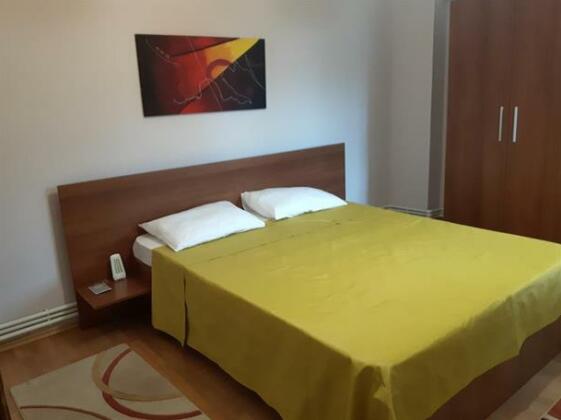 Irina Constanta - Photo4
