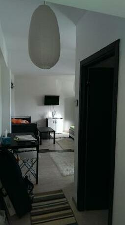 Studio Nicu - Photo5