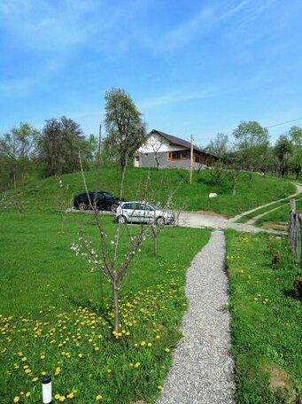 Casa Veche Corbeni - Photo2