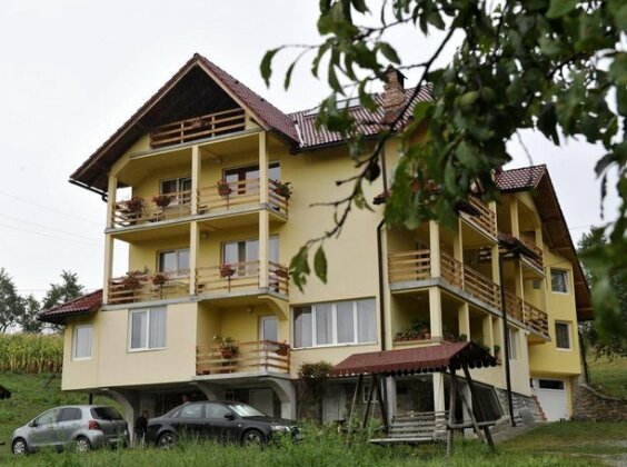 Pensiunea Tiuta - Photo2